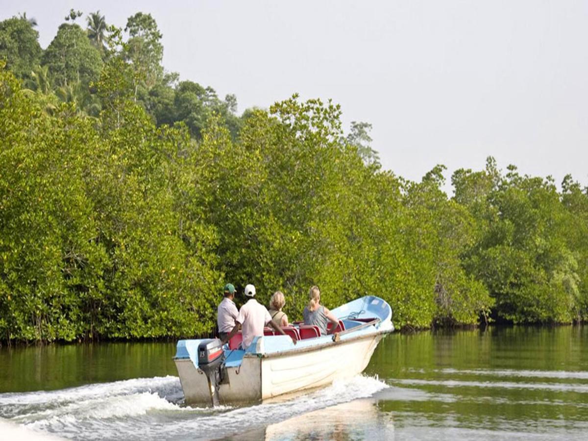 Pelli Riverine Ξενοδοχείο Weligama Εξωτερικό φωτογραφία