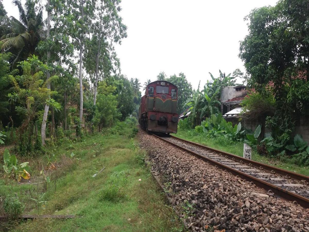 Pelli Riverine Ξενοδοχείο Weligama Εξωτερικό φωτογραφία